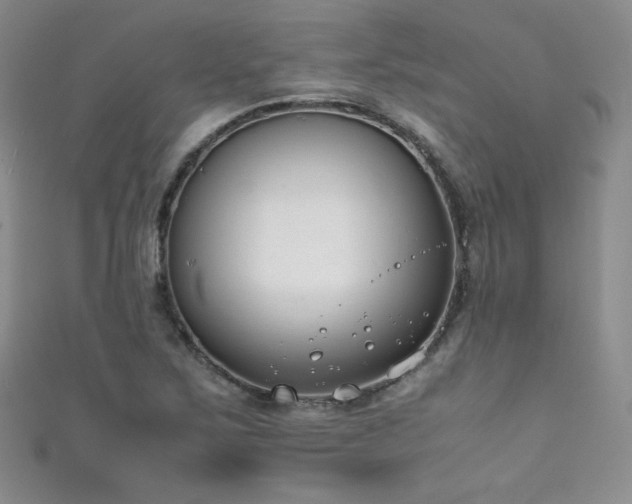 X0000111491267200907141231