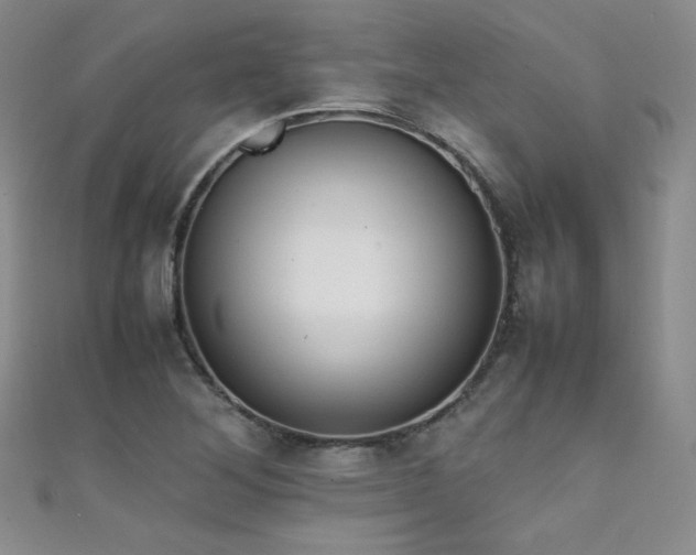 X0000111491268200907141231