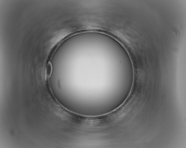 X0000111491269200907141231