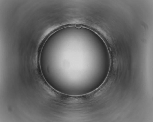 X0000111491270200907141231