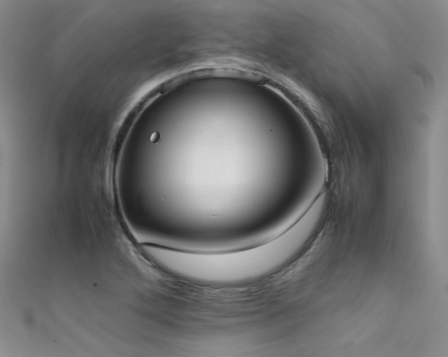X0000111491272200907141231