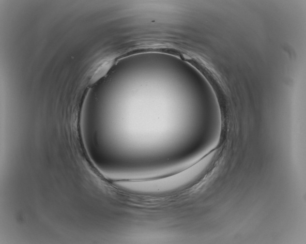 X0000111491273200907141231