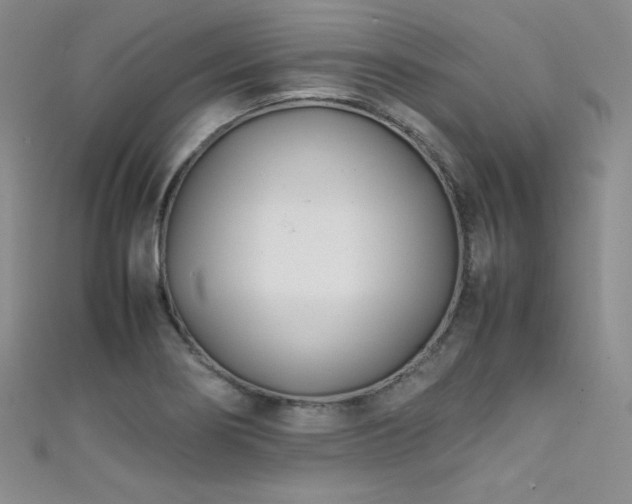 X0000111491274200907141231
