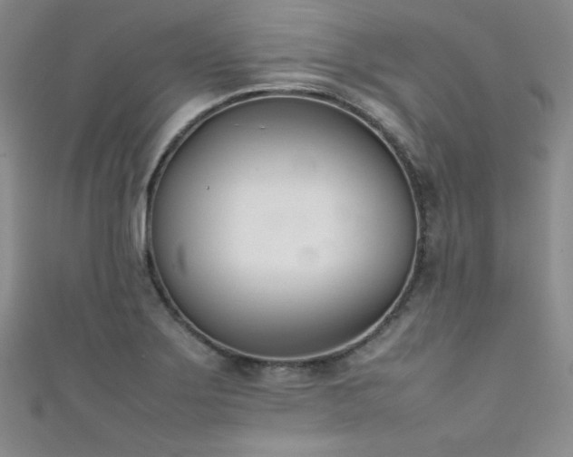 X0000111491275200907141231