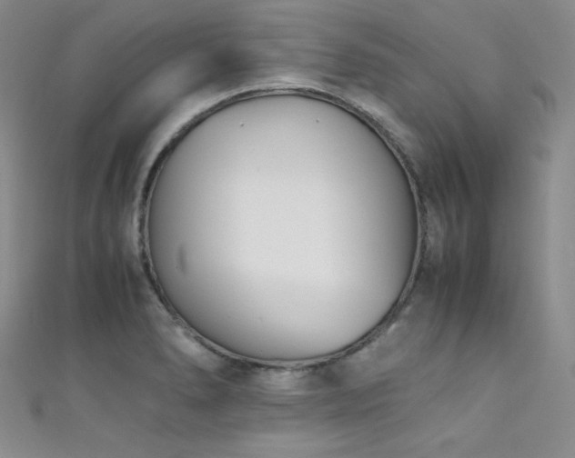 X0000111491278200907141231