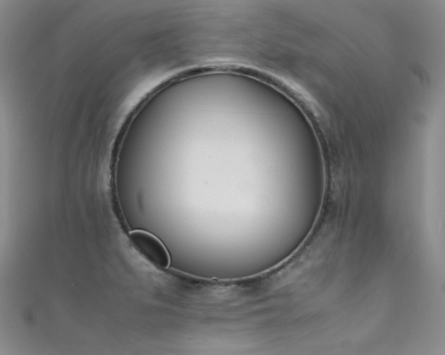X0000111491279200907141231
