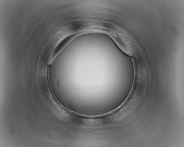 X0000111491281200907141231