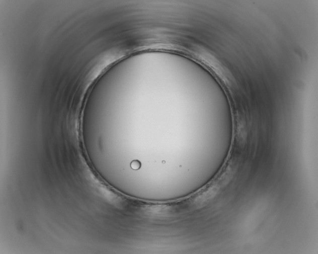 X0000111491282200907141231