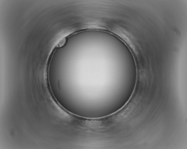 X0000111491285200907141231