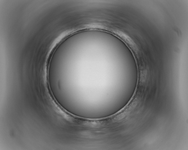 X0000111491286200907141231