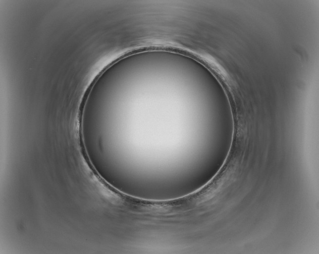 X0000111491287200907141231