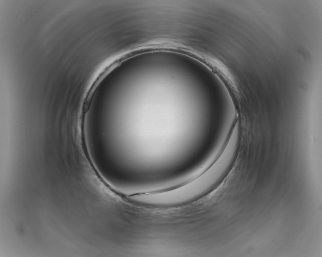 X0000111491288200907141231
