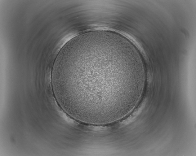X0000111491289200907141231