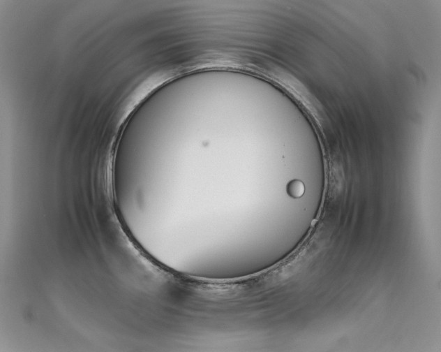 X0000111491290200907141231