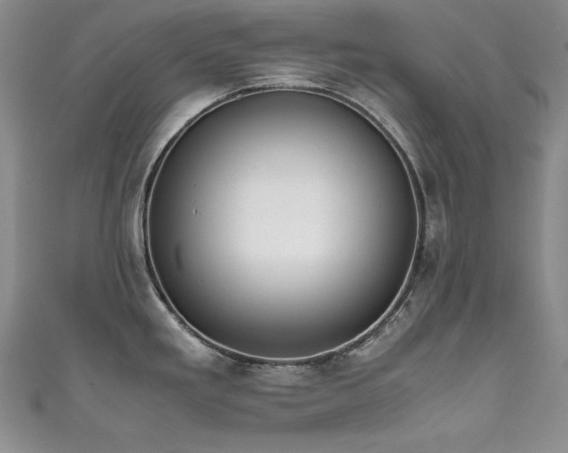X0000111491293200907141231