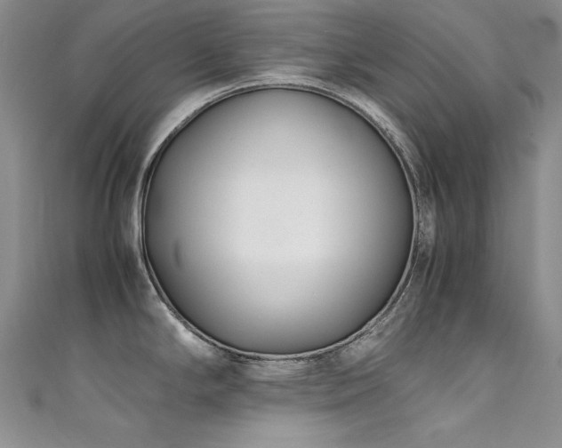 X0000111491294200907141231