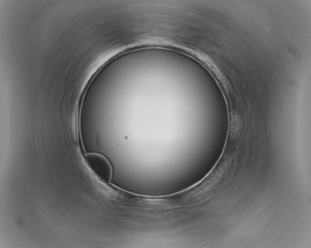 X0000111491295200907141231