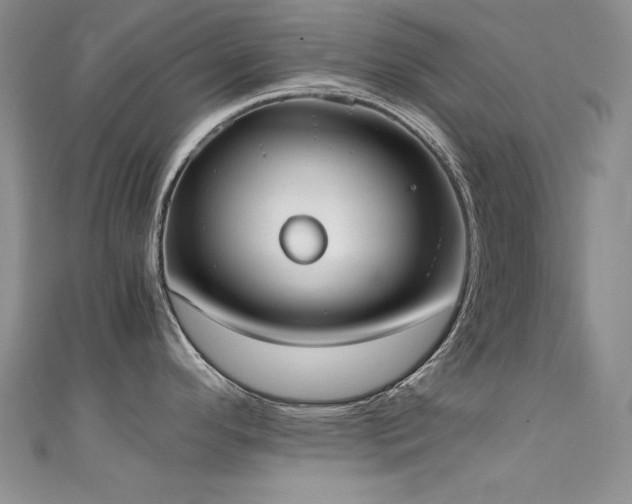 X0000111491296200907141231