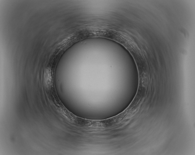 X0000111491298200907141230