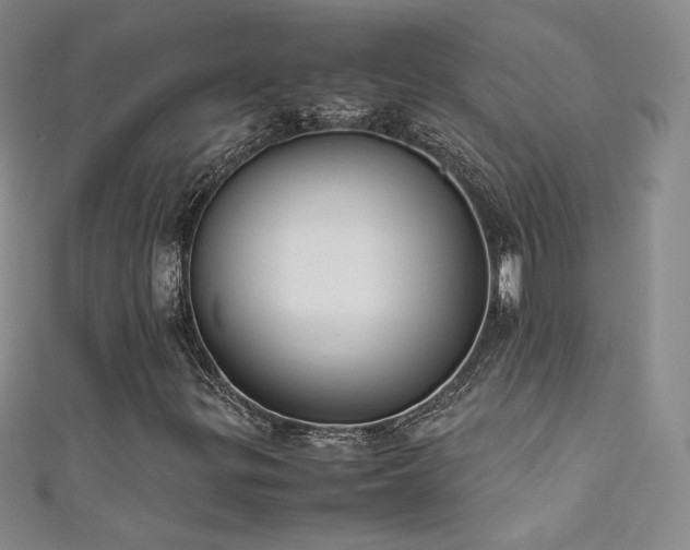 X0000111491299200907141230
