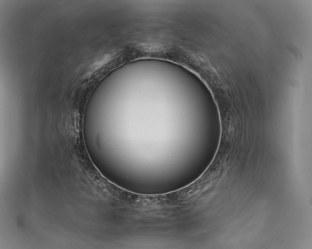 X0000111491301200907141230