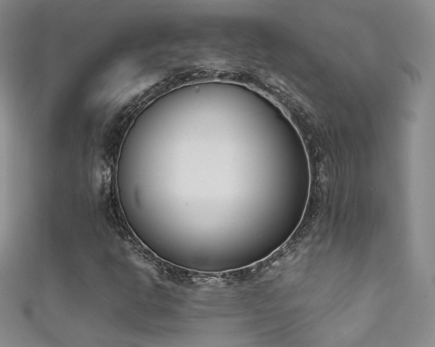 X0000111491302200907141230
