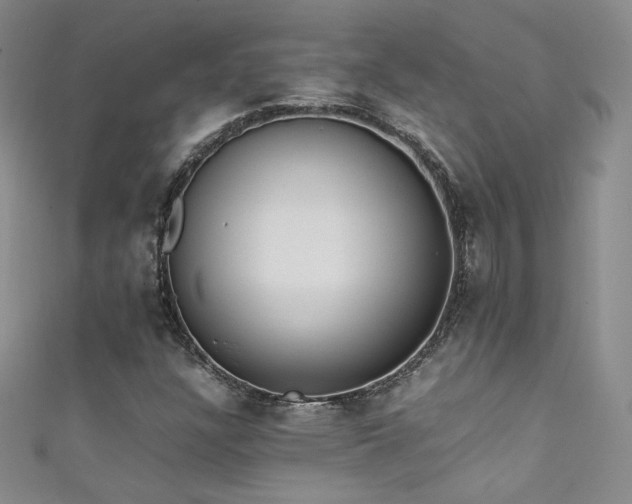 X0000111491304200907141230