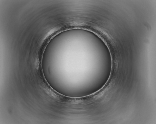 X0000111491306200907141230