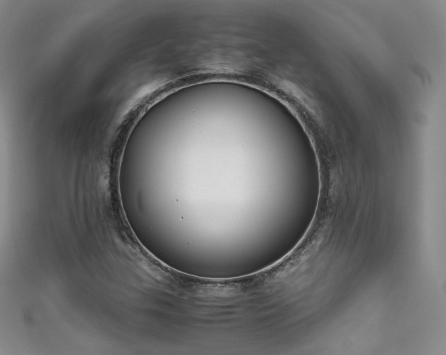 X0000111491307200907141230