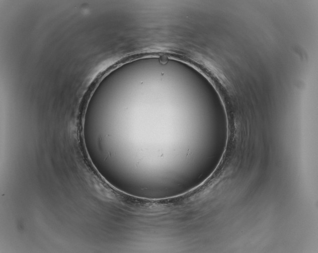 X0000111491308200907141230