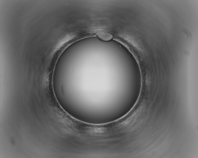 X0000111491309200907141230