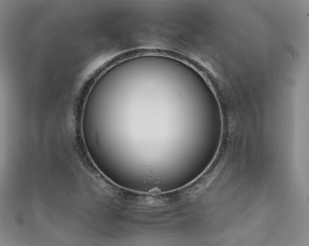 X0000111491311200907141230