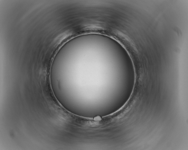 X0000111491313200907141230