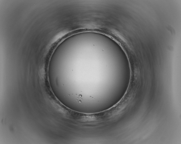 X0000111491315200907141230