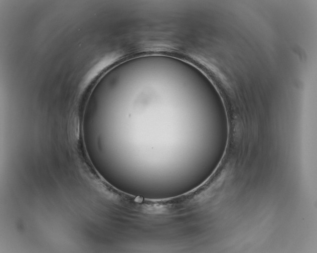 X0000111491317200907141230