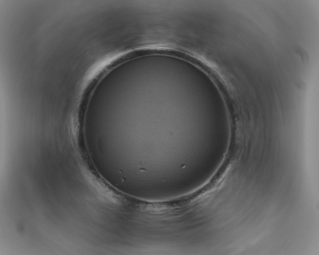 X0000111491319200907141230