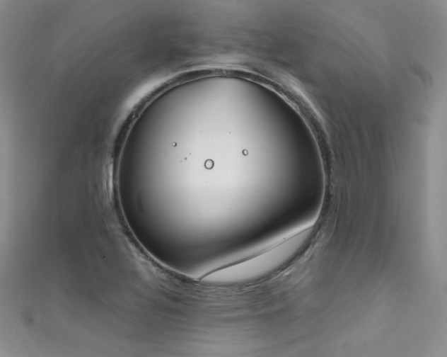 X0000111491320200907141230