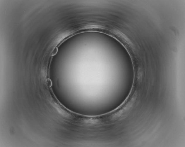 X0000111491321200907141230