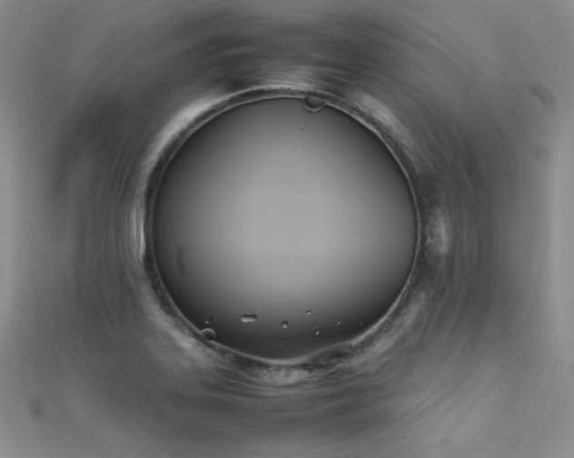 X0000111491323200907141230