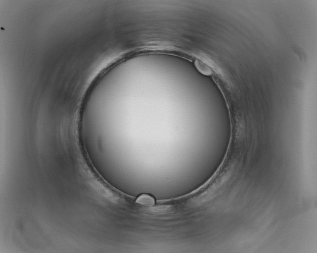 X0000111491325200907141230