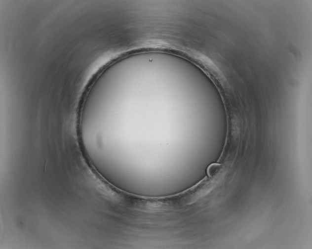 X0000111491326200907141230