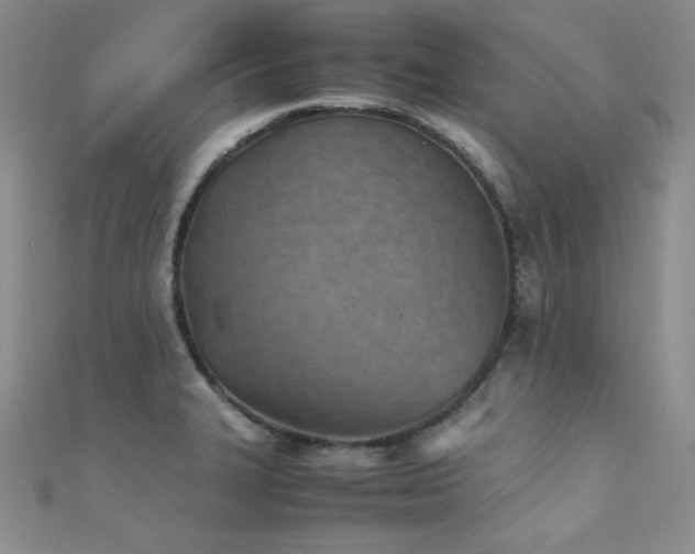 X0000111491327200907141230