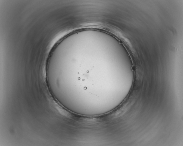 X0000111491328200907141230