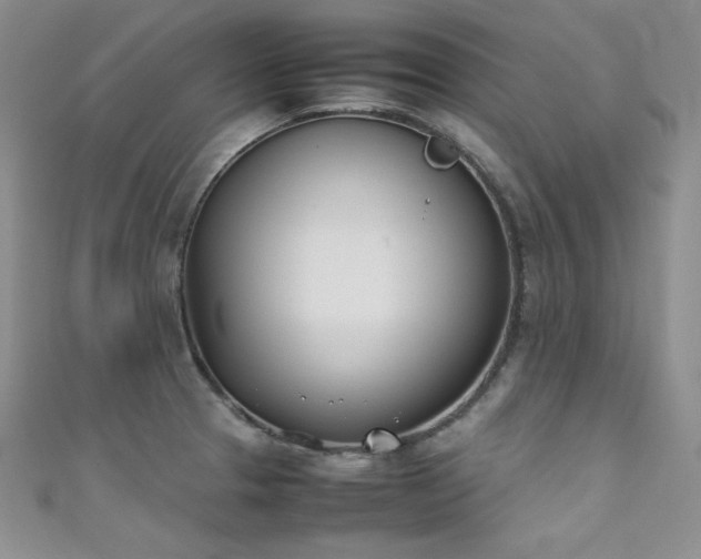 X0000111491329200907141230