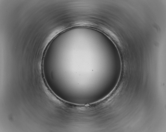 X0000111491330200907141231
