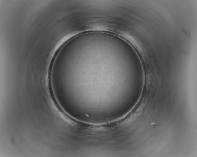 X0000111491331200907141231