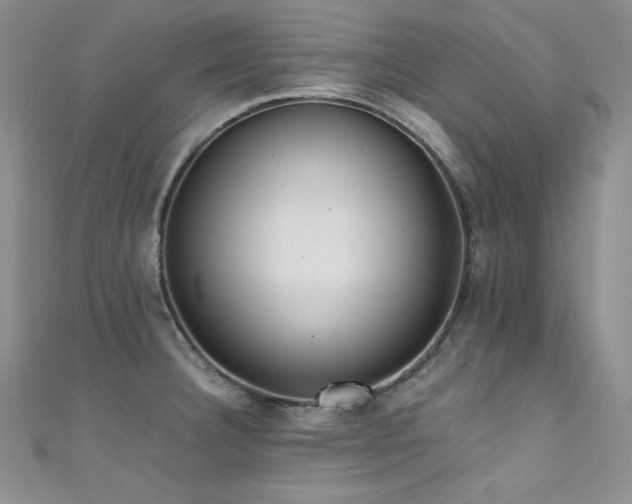 X0000111491332200907141231
