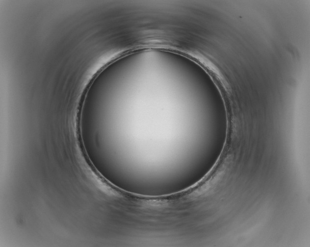 X0000111491333200907141231