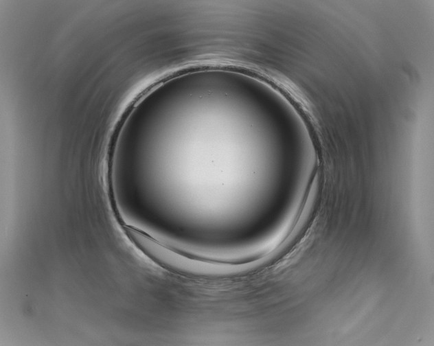 X0000111491334200907141231
