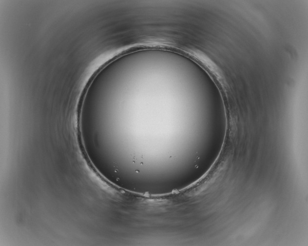 X0000111491335200907141231